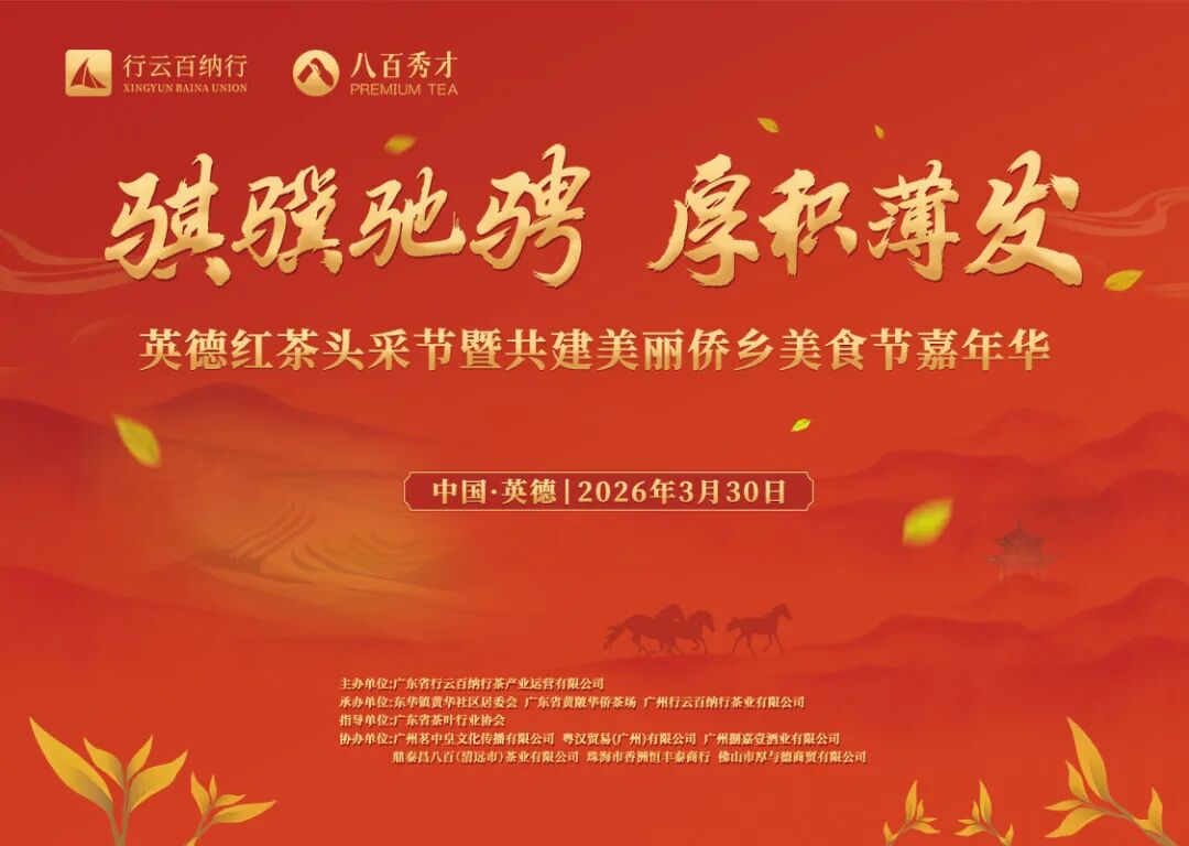骐骥驰骋 厚积薄发｜英德红茶头采节暨侨乡美食节嘉年华盛大启幕